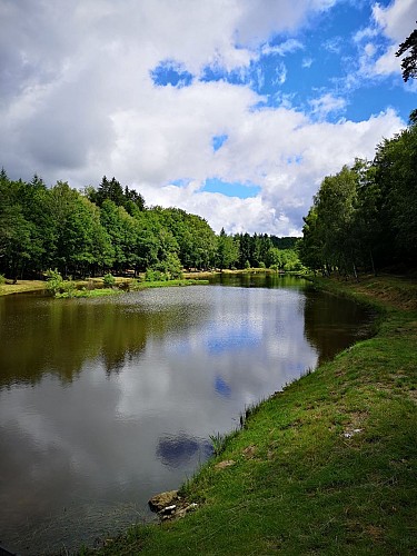 Etang du Portail_3