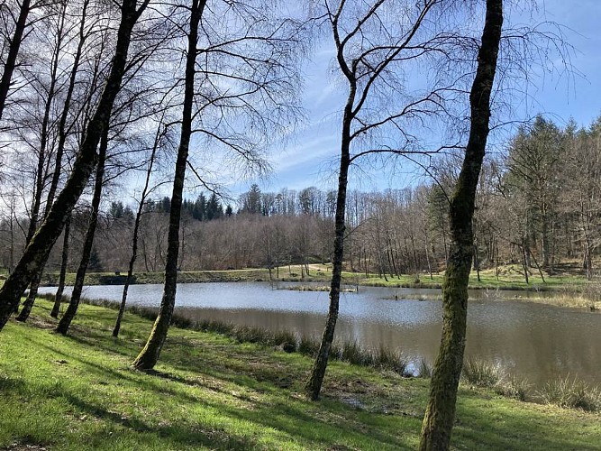 Etang du Portail_4