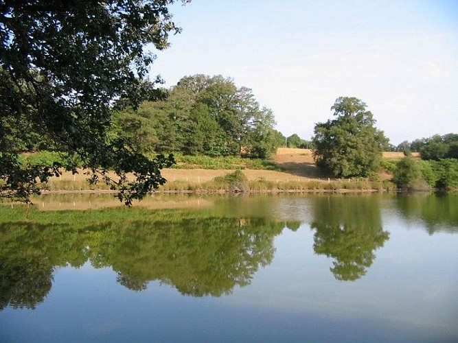 Etang de la Pouge à Saint-Auvent_4