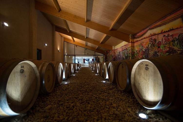 Salle tonneau Bourcier St Androny