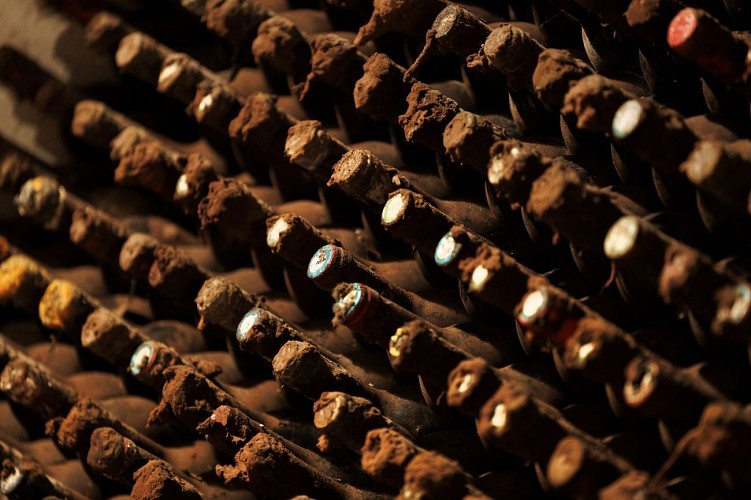 Lembeye chai doleris © P Le Doare studio 764-0132