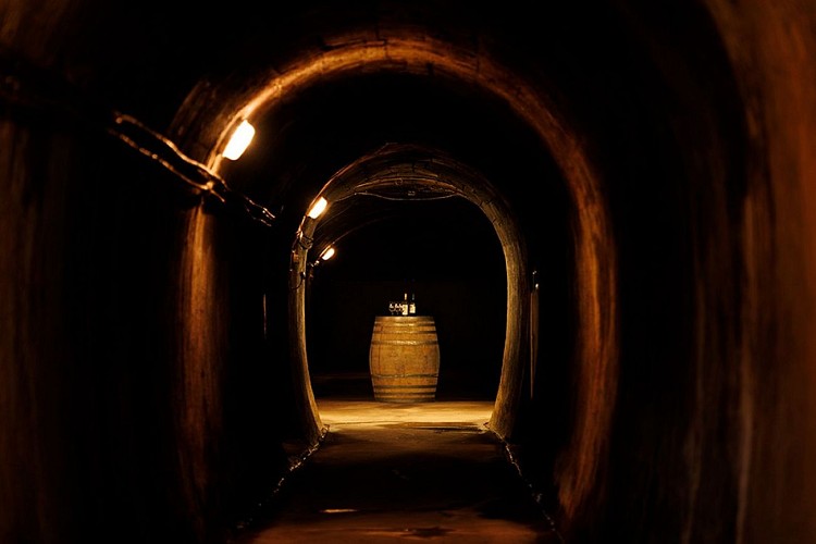 Lembeye chai doleris © P. Le Doare studio 764-0077