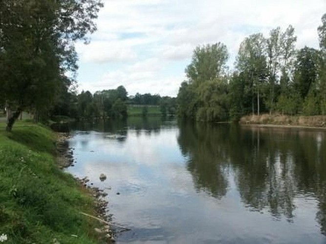 Parcours Carpe sur la Vienne à Aixe-sur-Vienne_1