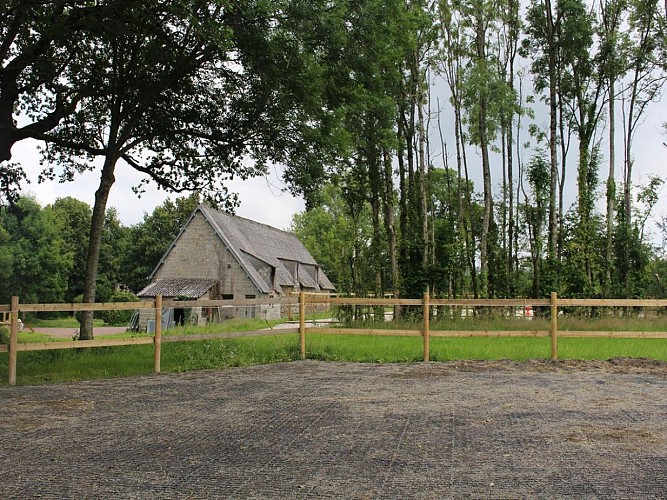 Domaine équestre aux près d'ulysse (TIS) (2)