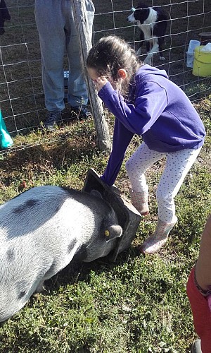 Les sabots de laine à Saint-Hilaire-Bonneval