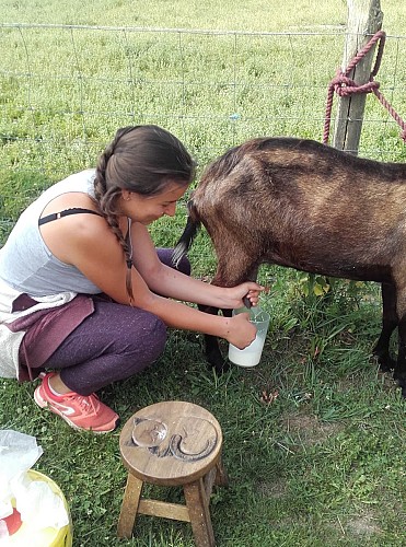 Les sabots de laine à Saint-Hilaire-Bonneval