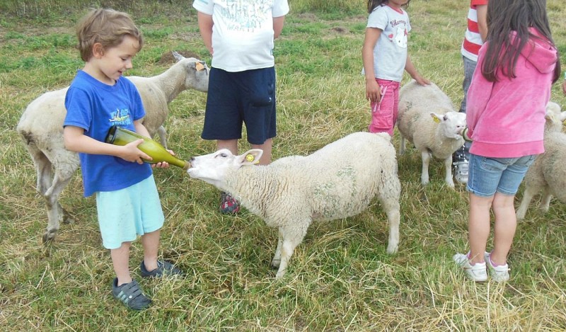 Les sabots de laine à St Hilaire Bonneval_7