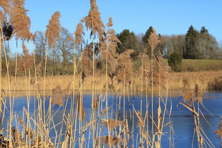 Teich von Mouille-Marin