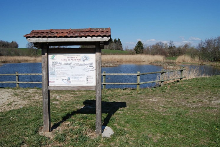 Mouille-Marin pond