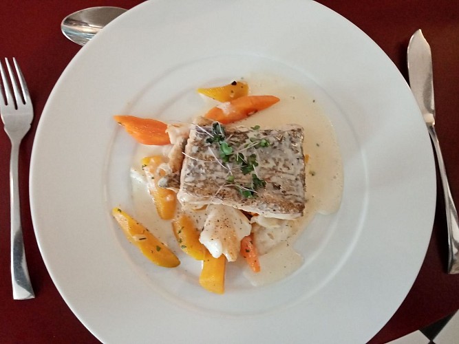 castel de glane saint junien (1) (1)