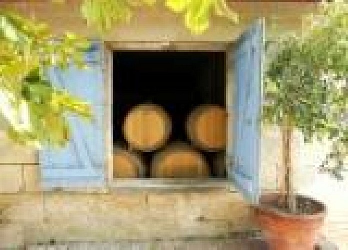 Château Saincrit St André de Cubzac (800x600)