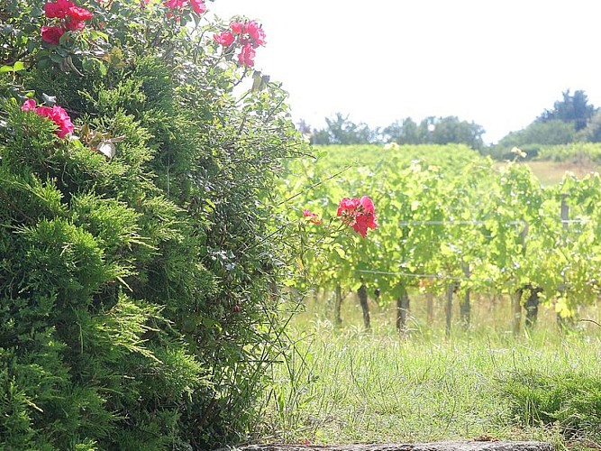 Château Saincrit St André de Cubzac (800x600)