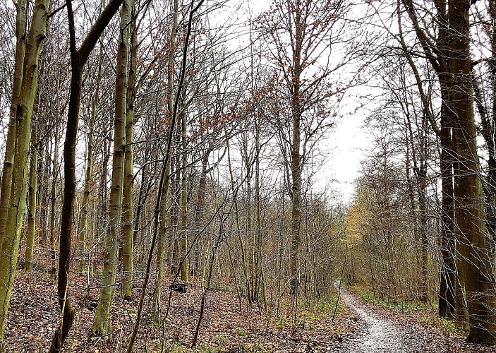 Sentier de l'Europe