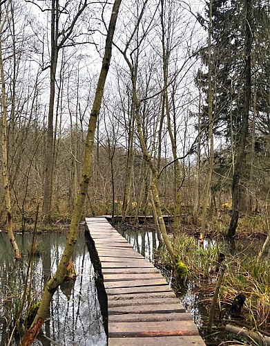 Passerelle