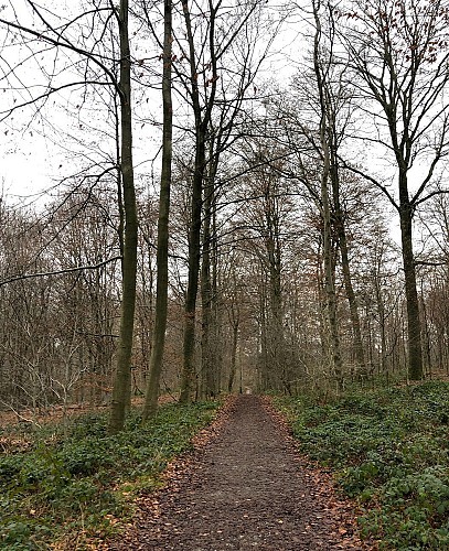 Chemin de Warlombroux