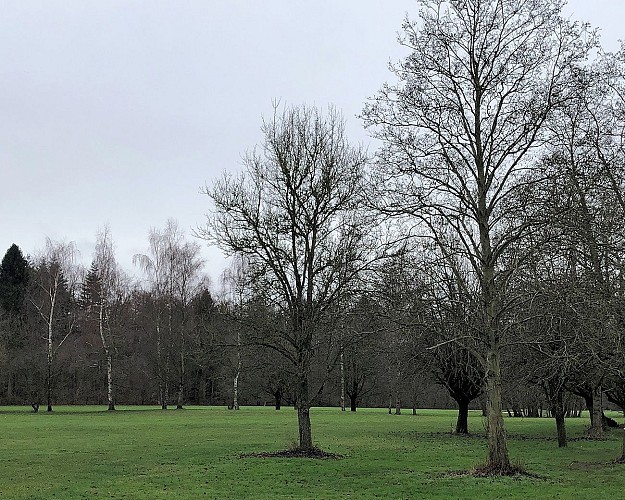 Golf de Louvain-la-Neuve