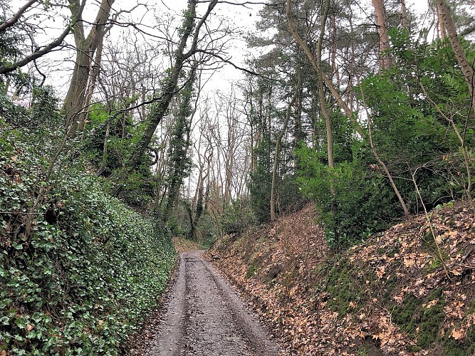 Chemin Fontaine del Turc