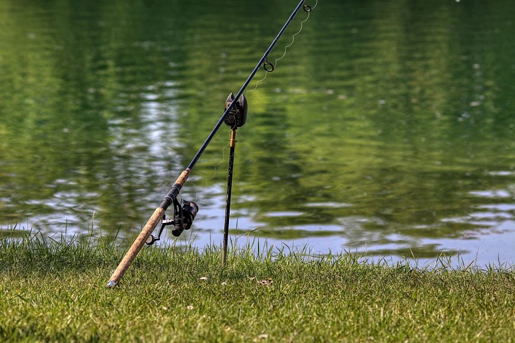 Carps fishing at night in Peyrat-de-Bellac