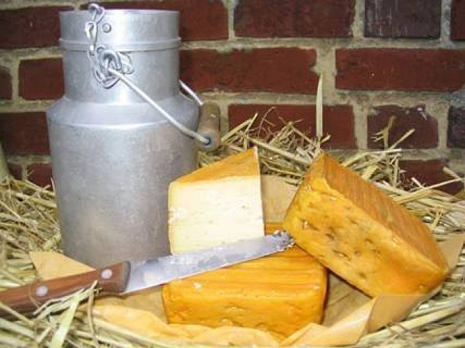 11009163_1451306875161934_1204786411883072080_n