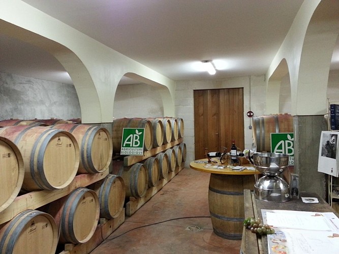 chateau-de-cots-bayon-cotes-de-bourg-chai-800x600---Remi-Bergon-2