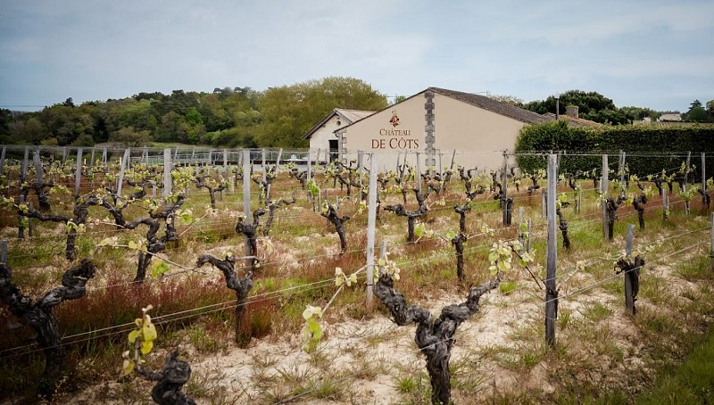 Château_de_cots_bayon_cotes_de_bourg_facade 800x600©Rémi_Bergon
