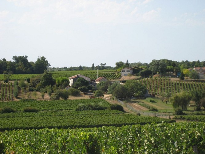 chateau de côts bayon sur gironde vignoble côtes de bourg 800x600