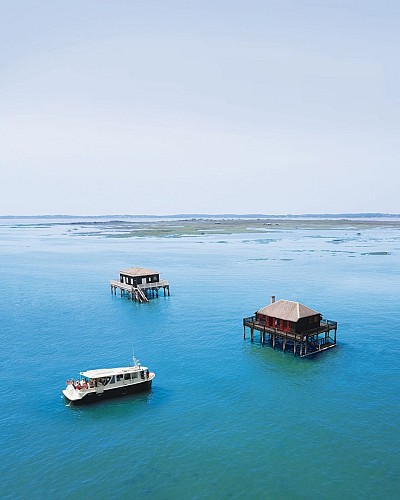 461501262_1302017077836528_4822476518929835993_n