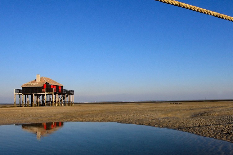 Les _pinasses_du_bassin (4)