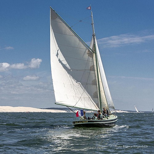 chiule-bent--J1A1610160618