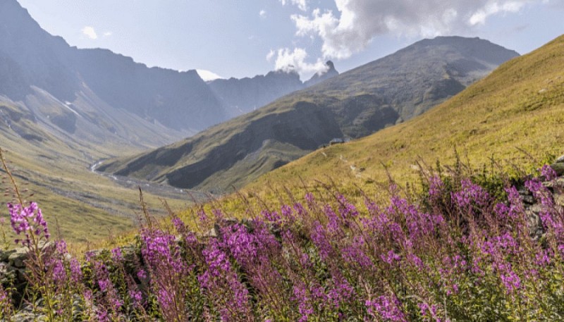Refuge des Aiguilles d'Arves
