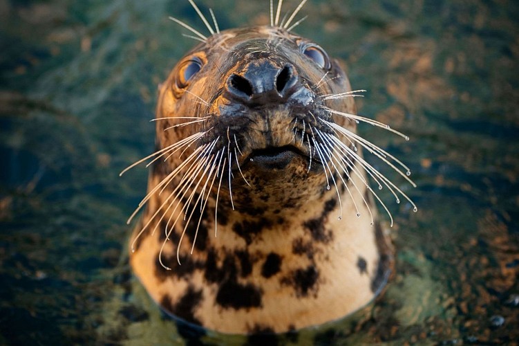 bisous-mouillés-crédit-delphine-pernaud - 2