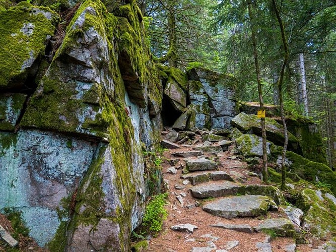 La chambre du loup