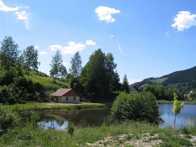 TEICH ETANG DES CHAUPROYES