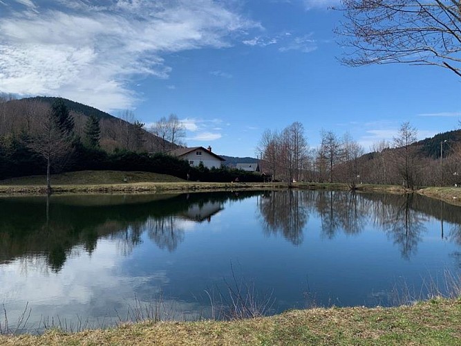 TEICH ETANG DES CHAUPROYES