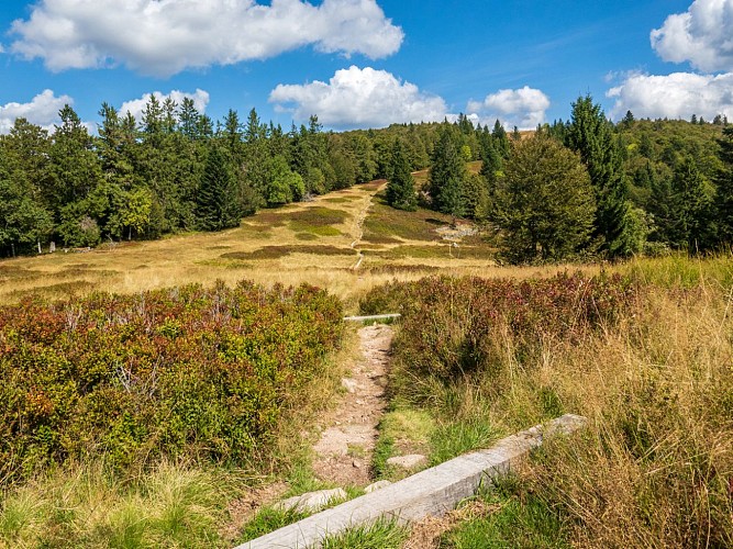 Chaume du Grand Ventron