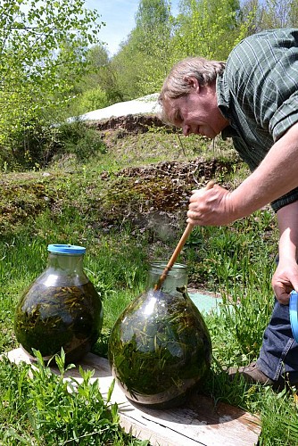 Ferme aux herbes - plantes aromatiques et medicinales
