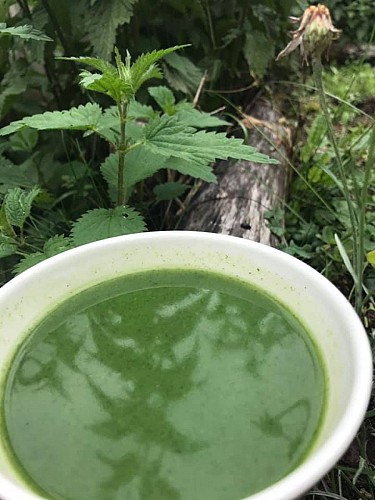 Ferme aux herbes - plantes aromatiques et medicinales