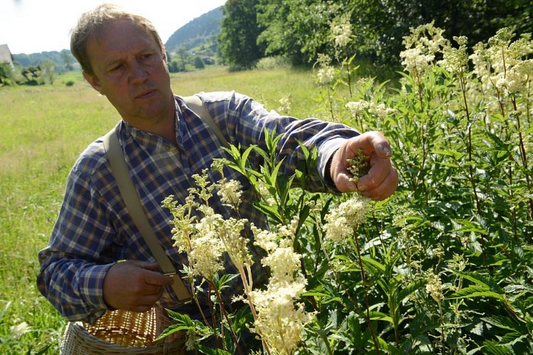 Ferme aux herbes - plantes aromatiques et medicinales