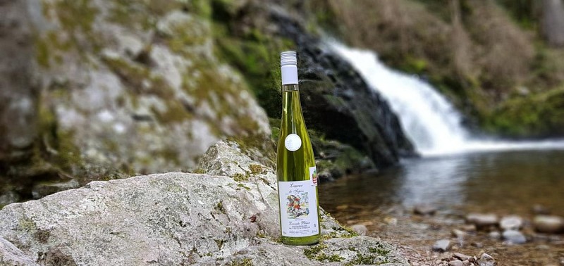 Distillery lecomte-blaise