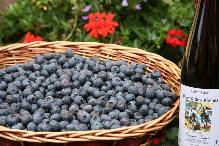 Distillery lecomte-blaise