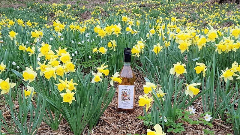 Distillerie lecomte blaise - nol