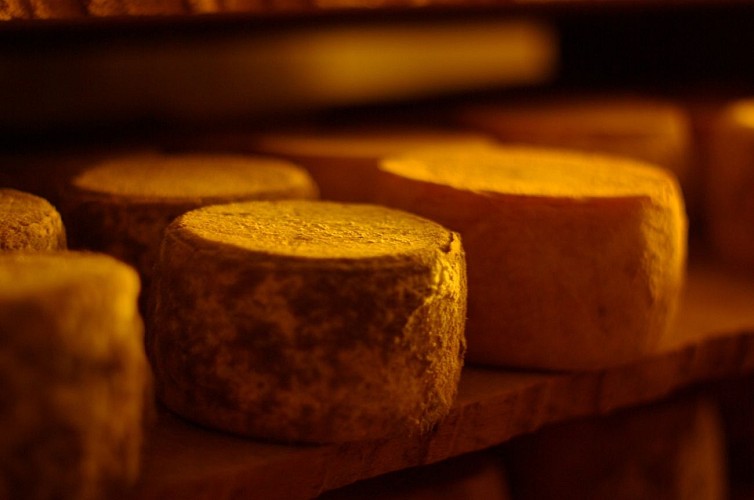 FROMAGE BREBIS ZOZAYA