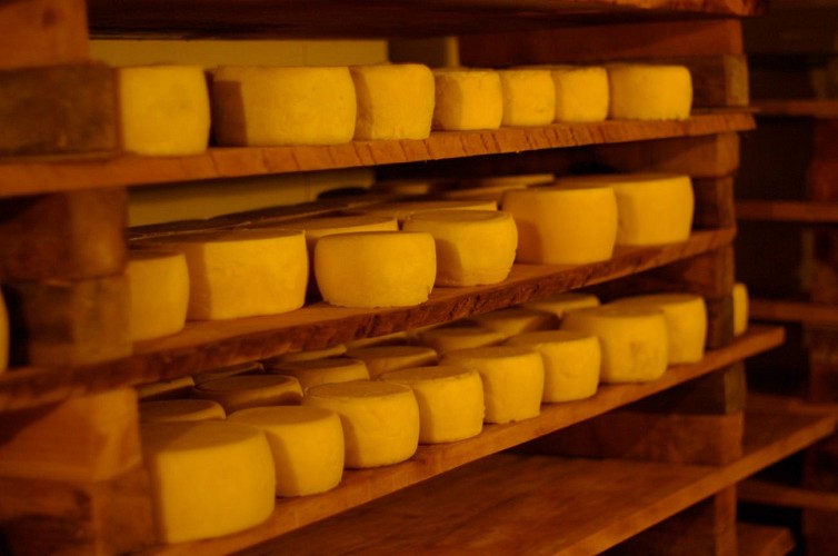 FROMAGE ZOZAYA