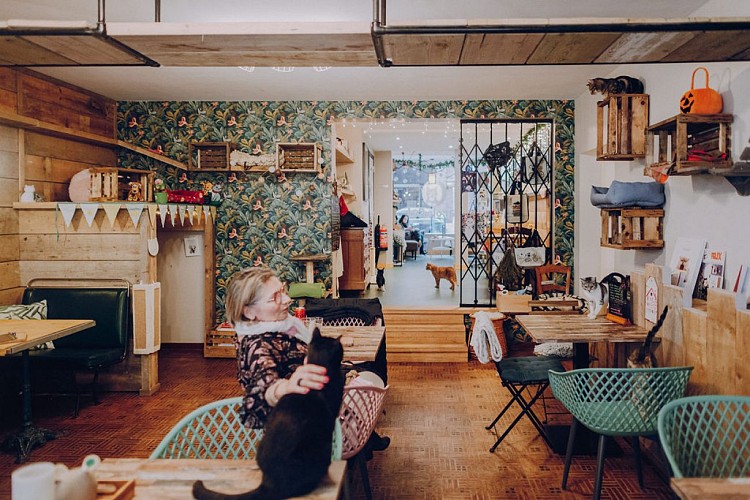 0019-SCG_0338-191121-2021.11.19CAROLOCATS