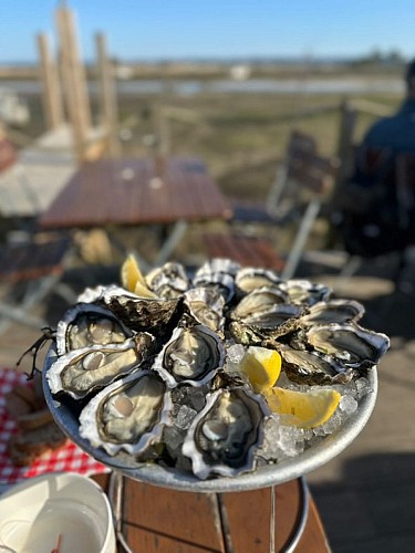 90FE1B44-7C7A-431E-9B25-4CE84D0CF092