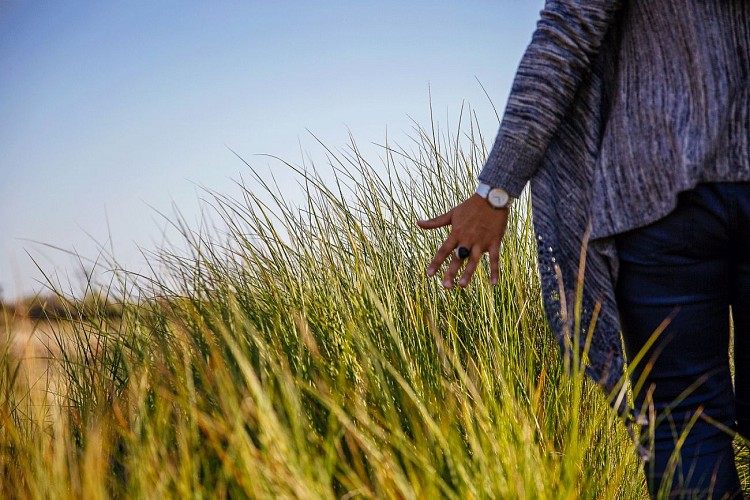 pres-sales-lege-cap-ferret-agence-les-conteurs-14