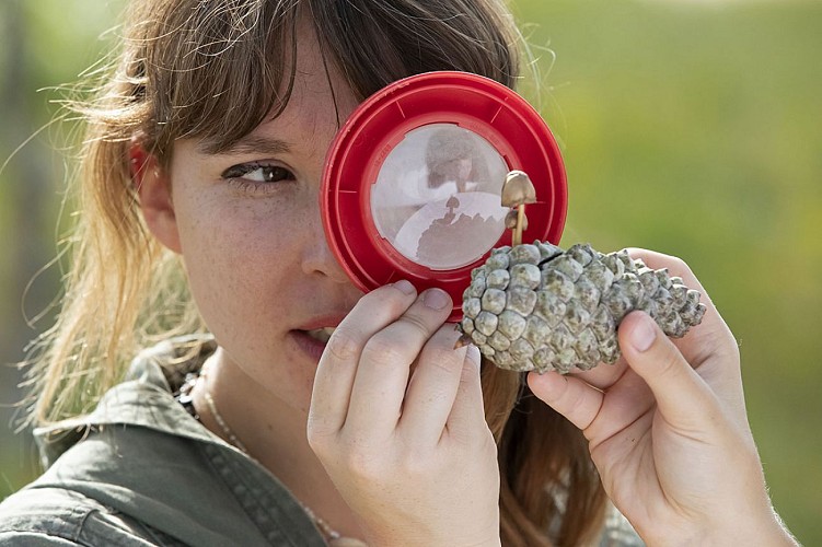 Apprentis naturalistes 1