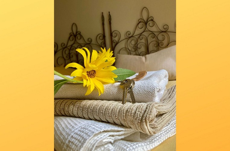 lafermebuissonniere2026-lajonquille_02