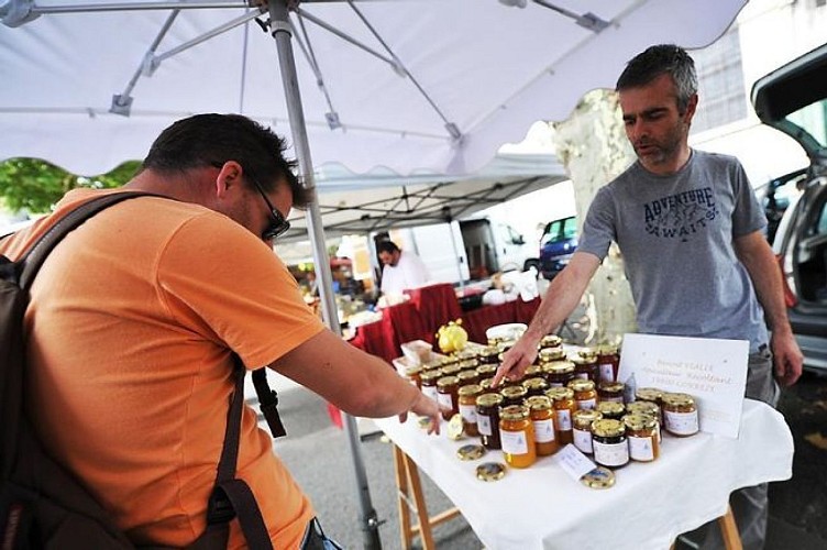 Apiculteur Mr Benoit Vialle_1