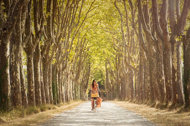 Guiraud à bicyclette - SAUTERNES - Sud-Gironde